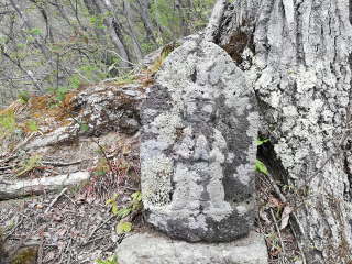 画像に含まれている可能性があるもの:木、屋外